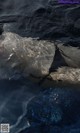 A polar bear swimming in a pool of water.